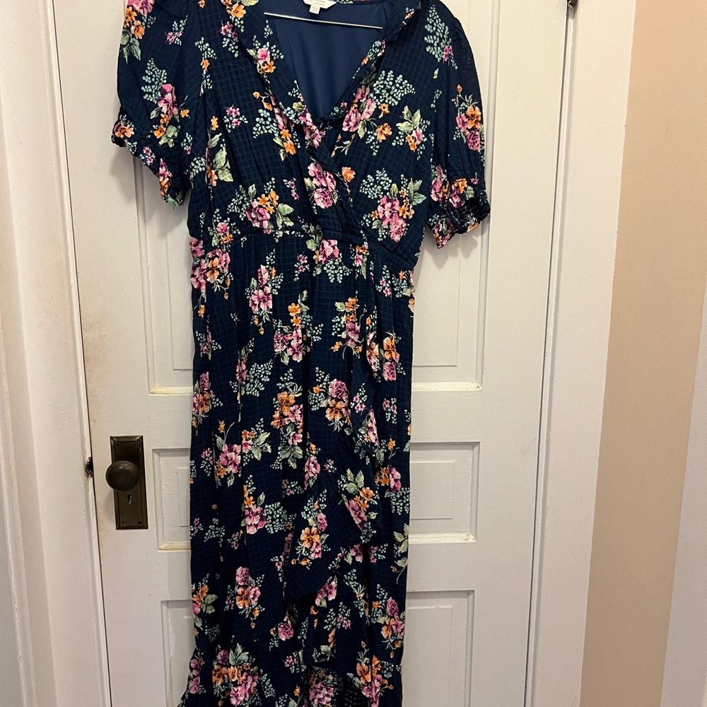 LC Lauren Conrad Pink and Orange Flutter Sleeve Maxi Sundress